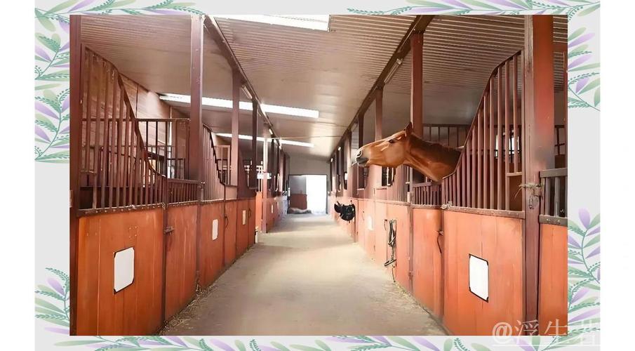 赛前探析——优良马匹与顶级马厩的完美配搭 赛前探析——优良马匹与顶级马厩的完美配搭